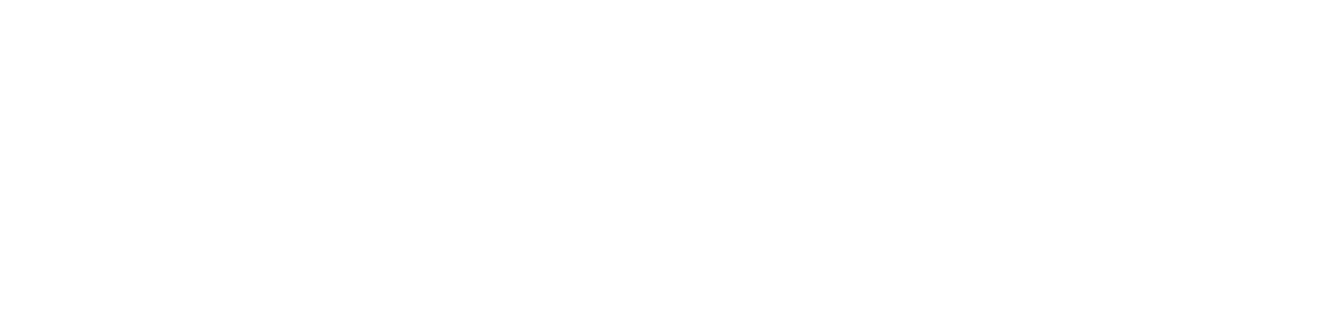 falschenpost